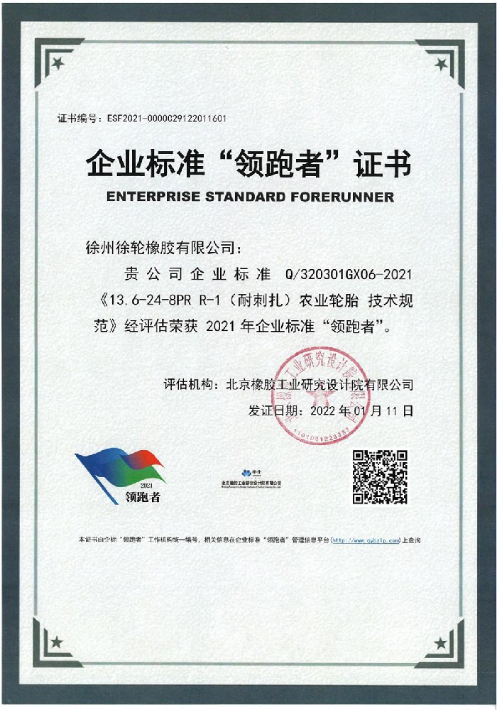 22.1.21 Agricultural Tire 13.6-24-8PR R-1 (stab resistant) Stamped Edition Enterprise Standard Leade